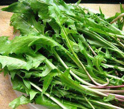 Eating wild vegetablesSpring|Different dandelion，comeand taste